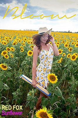 [TheEmilyBloom×Red Fox] 2021-01-19 Sunflower